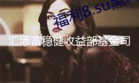 匯添富穩(wěn)健收益部基金司理胡奕：當時“盈利+”仍具有出資價值