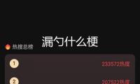 漏勺什么梗