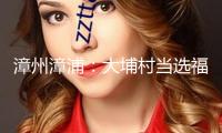 漳州漳浦：大埔村當選福建省和美村莊“五個美麗”建造典型事例