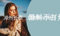 漳州長(zhǎng)泰：培養(yǎng)新式電子元器件工業(yè)集群 培優(yōu)扶強(qiáng)電子信息要點(diǎn)工業(yè)鏈