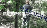 漳州高新區(qū)領導帶隊調研“開門紅”項目龍江年月暨景區(qū)景點建造作業(yè)