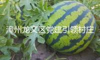 漳州龍文區(qū)黨建引領(lǐng)村莊復(fù)興促進(jìn)會健康發(fā)展作業(yè)推動會舉行
