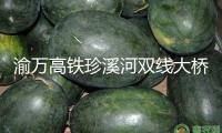 渝萬高鐵珍溪河雙線大橋順暢合龍