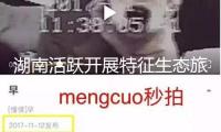 湖南活躍開展特征生態(tài)旅游