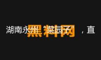 湖南永州“菜園子”，直通粵港澳“菜籃子”
