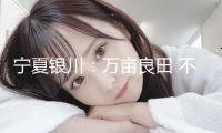 寧夏銀川：萬畝良田 不負(fù)春色