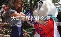 大司馬廳長什么梗