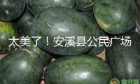 太美了！安溪縣公民廣場“花燈氣氛組”已就位