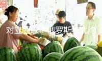對立晉級？俄羅斯與北約在波羅的?！霸┘衣氛?專家：并非偶然
