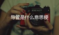 導管是什么意思梗