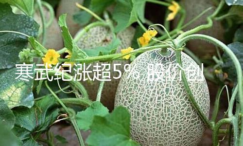 【吃瓜網(wǎng)朝陽(yáng)】寒武股價(jià)創(chuàng)前史新高