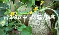 巖澤雄司中選國(guó)際法院新任院長(zhǎng)