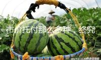 市價托付那么多種，終究怎樣用？