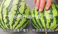 廣東多地開端嚴(yán)查“全職”順風(fēng)車 有司機稱已收到罰單