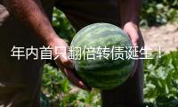 年內(nèi)首只翻倍轉(zhuǎn)債誕生！機(jī)器人板塊“牛債”橫出