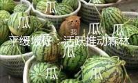 平緩坂仔：活躍推動(dòng)森林公園改造與晚年活動(dòng)中心硬化工程