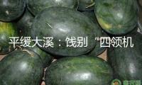 平緩大溪：餞別“四領機制”實干爭早春 共謀村莊復興新畫卷