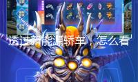 透過(guò)新能源轎車(chē)，怎么看“生長(zhǎng)的煩惱”？
