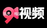 重慶：梅園花香四溢 鳥兒枝間演出“空中瑜伽”