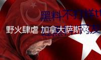 野火肆虐 加拿大薩斯喀徹溫省進(jìn)入緊急狀態(tài)