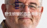 野生螃蟹的壽命有多長