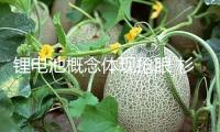 鋰電池概念體現(xiàn)搶眼 杉杉股份漲停