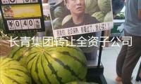長(zhǎng)青集團(tuán)轉(zhuǎn)讓全資子公司股權(quán)發(fā)展：已收到500萬元預(yù)付款