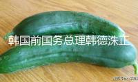 韓國前國務(wù)總理韓德洙正式宣告參與總統(tǒng)推舉