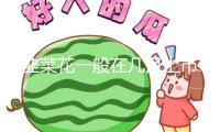 韭菜花一般在幾月上市