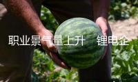 職業(yè)景氣量上升　鋰電企業(yè)上一年成績分解