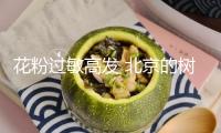 花粉過敏高發(fā) 北京的樹每天要“沖3遍澡”