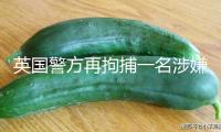 英國警方再拘捕一名涉嫌參加輔弼住所縱火案嫌疑人