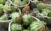 蕭山機(jī)場“黑車”沉渣泛起 記者暗訪：旅客遭層層“轉(zhuǎn)賣”