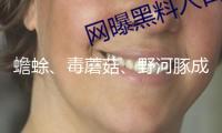 蟾蜍、毒蘑菇、野河豚成“隱形殺手” 專家提示：春季慎食野味