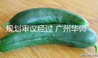 規(guī)劃審議經(jīng)過(guò) 廣州華師石牌學(xué)校將煥新晉級(jí)
