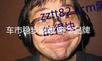 車(chē)市穩(wěn)步回暖 奢華品牌發(fā)力精密服務(wù)