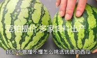 豆粕提價(jià) 多家飼料出產(chǎn)企業(yè)發(fā)提價(jià)告訴