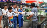 近期氣候?qū)Υ焊悍N影響幾許？