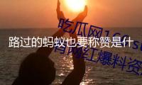 路過的螞蟻也要稱贊是什么梗