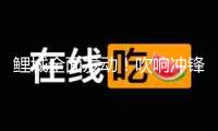 鯉城全面發(fā)動！吹響沖鋒號！