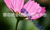 黎總統(tǒng)會晤聯(lián)合國秘書長 評論黎以最新形勢等