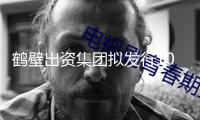 鶴壁出資集團(tuán)擬發(fā)行10億元公司債獲上交所受理
