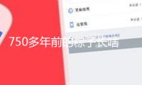 750多年前的粽子長(zhǎng)啥樣？3D視角帶你看細(xì)節(jié)→