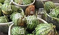 8個(gè)人的隊(duì)形