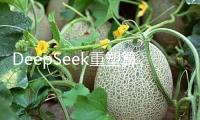 DeepSeek重塑算力生態(tài) 國(guó)產(chǎn)算力迎新機(jī)會(huì)