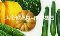 1月新能源乘用車零售量同比增加10.5%