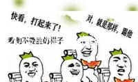 2025常州—上海經(jīng)貿(mào)溝通和立異協(xié)作活動周新春溝通會舉辦
