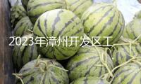 2023年漳州開發(fā)區(qū)工業(yè)開展項目建造這樣干！