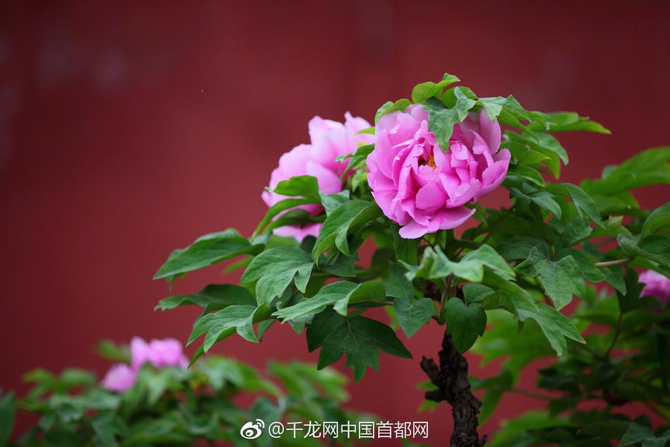 【五一吃瓜網頁版官網】反制俄總統(tǒng)普京已簽署指令