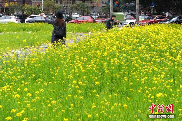 【黑料網(wǎng)今日黑料首頁】片區(qū)要堅(jiān)持項(xiàng)目化推動(dòng)